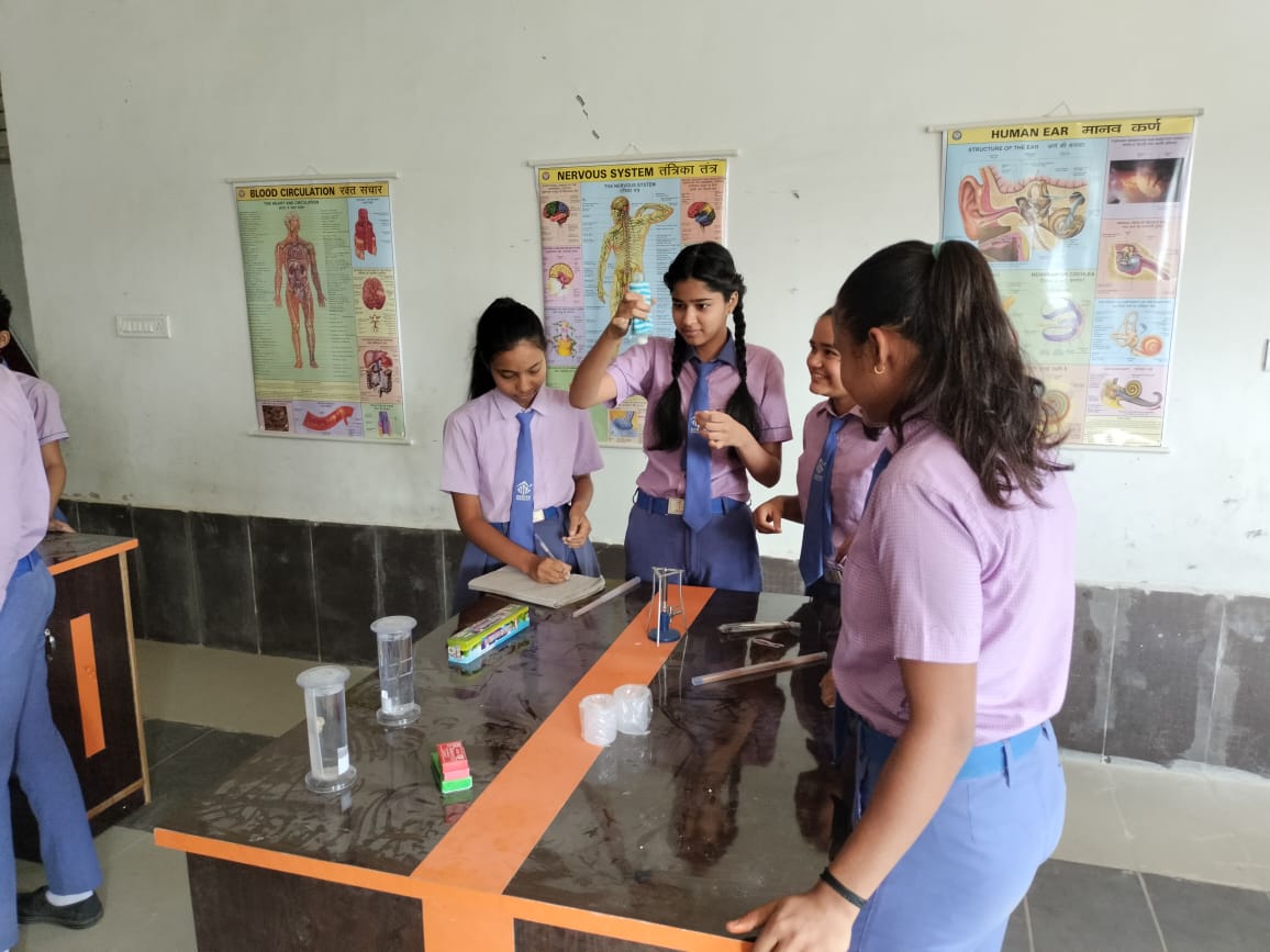 Zenith School Activity 20